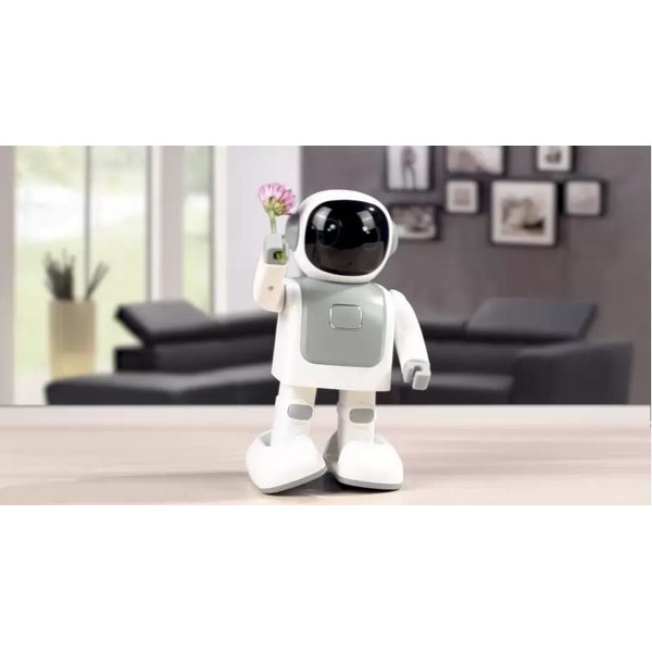 Беспроводная колонка Top Joy RS01 (белый)