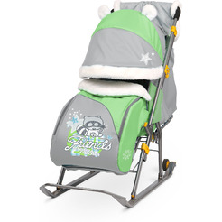 Санки-коляска НИКА Детям 6 Енот (зеленый/серый)