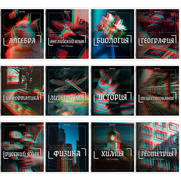 Тетради предметные BRAUBERG 405170 (КОМПЛЕКТ 12 ПРЕДМЕТОВ, 48л, глянцевый УФ-лак)