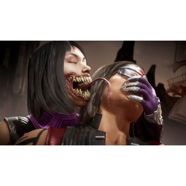 Игра Mortal Kombat 11 Ultimate для PlayStation 4 (русские субтитры)