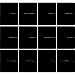 Тетради предметные BRAUBERG 405164 (КОМПЛЕКТ 12 ПРЕДМЕТОВ, 48л, обложка картон)