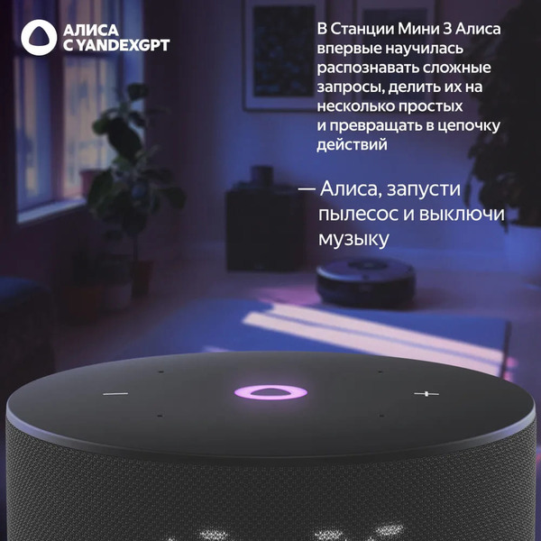 Умная колонка Яндекс Станция Мини 3 (YNDX-00027BLK) черный