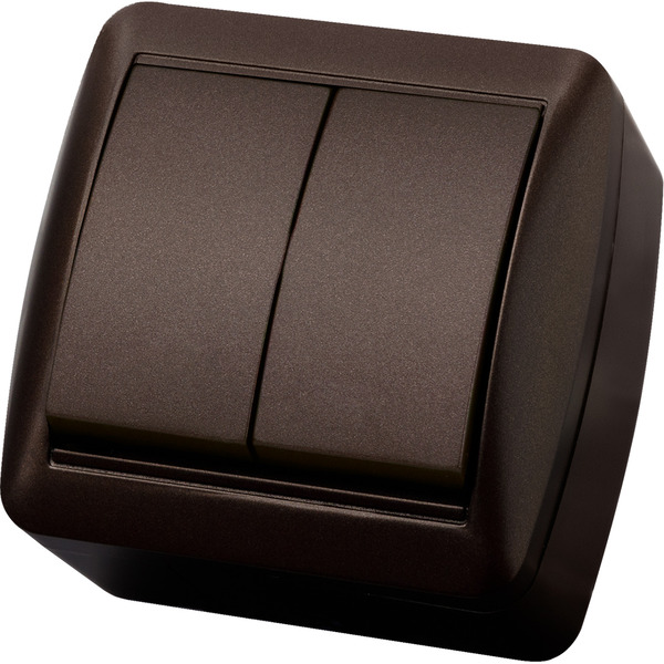 Выключатель TDM Селигер SQ1818-0202