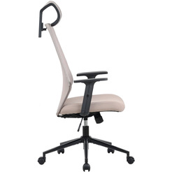 Компьютерное кресло ZONE 51 VECTIS ONE Light Beige (Z51FVCOLB)
