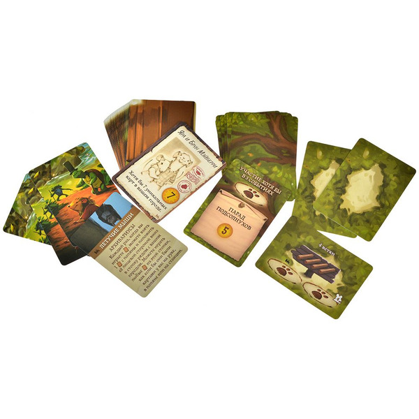 Настольная игра Hobby World 915719 Эверделл: Лесной экспресс