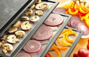 Как выбрать сушилку для фруктов и овощей