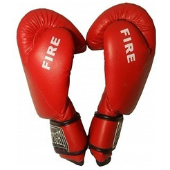 Перчатки боксерские EVERFIGHT FIRE EBG-536 (8 oz, красный)
