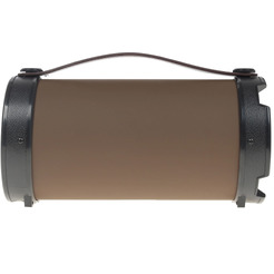 Акустическая система Dialog AP-1000