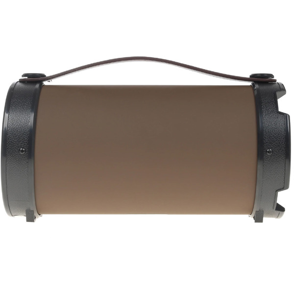 Акустическая система Dialog AP-1000