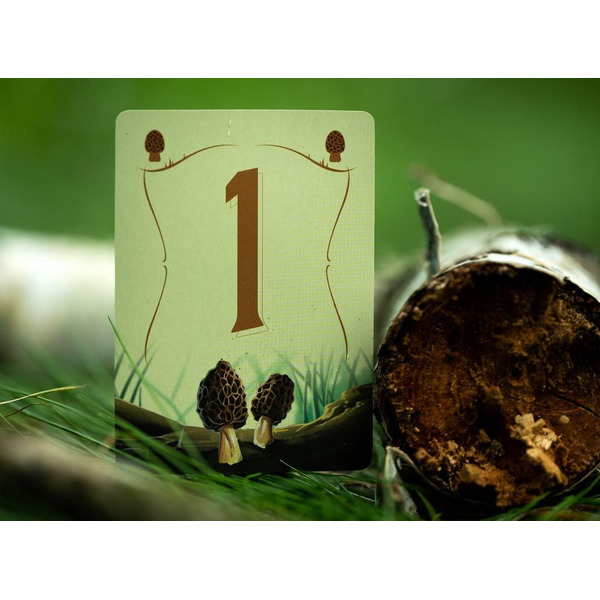 Настольная игра Стиль Жизни Грибные места LS147