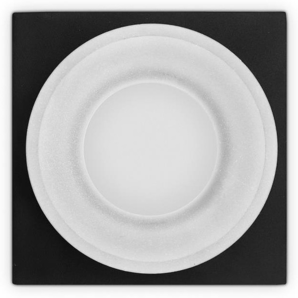 Точечный светильник Ambrella light TN1316 SBK/FR (черный песок/белый матовый)