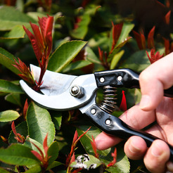 Секатор Deli EDL580200