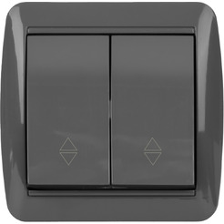 Выключатель TDM Селигер SQ1818-0112