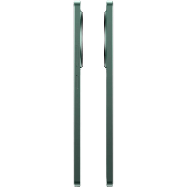 Смартфон Realme 12 RMX3871 8GB/256GB (зеленый)
