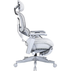 Кресло компьютерное EVOLUTION ZX 1