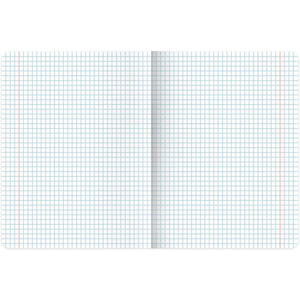 Тетради предметные BRAUBERG 404840 (КОМПЛЕКТ 12 ПРЕДМЕТОВ, 48л, покрытие твин-лак)