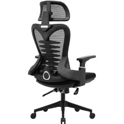 Кресло компьютерное EVOLUTION HarmonySpine