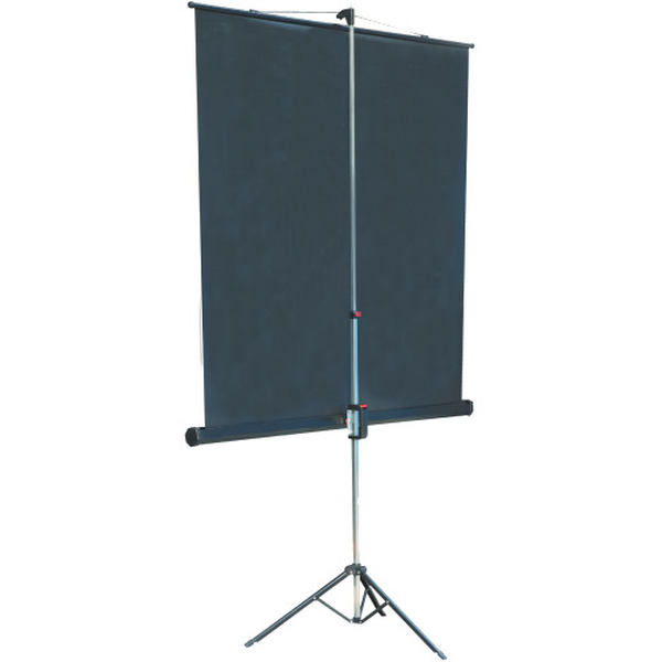 Экран Lumien LMV-100105