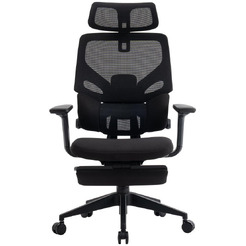 Кресло компьютерное EVOLUTION LumbarPro FR