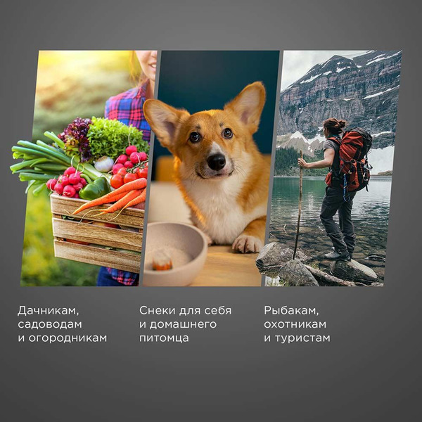 Сушилка для овощей и фруктов Редмонд FD1106