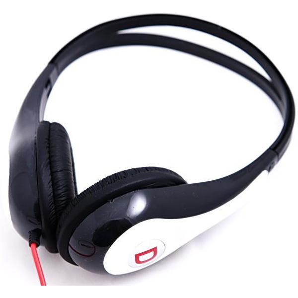 Наушники DIGION PTDM3500W