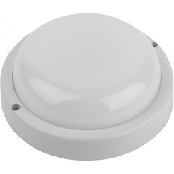 Светильник ЖКХ ЭРА SPB-201-0-40K-015