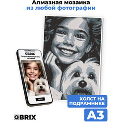 Набор алмазной вышивки QBRIX Original А3