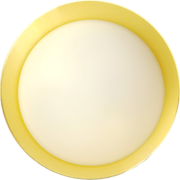 Светильник Feron HL388 48801