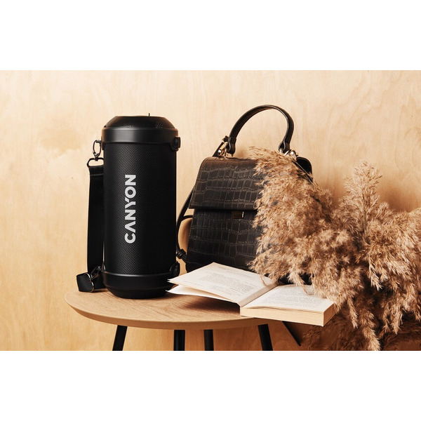 Беспроводная колонка Canyon CNE-CBTSP7