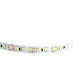 Светодиодная лента Feron LS612 27729