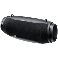 Беспроводная колонка Vipe Flash (черный)