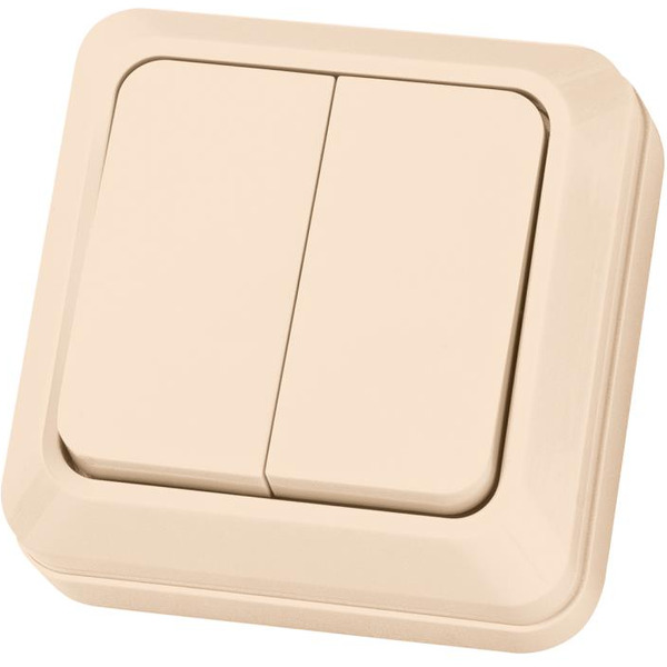 Выключатель TDM Electric Ладога SQ1801-0004