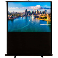 Экран Cactus FloorCompactExpert CS-PSFLCE-160X120