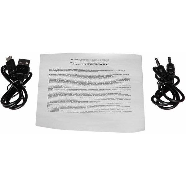 Беспроводная колонка Evolution BOOM-101 (черный)