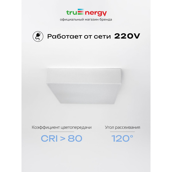 Светильник TruEnergy AURA 11166