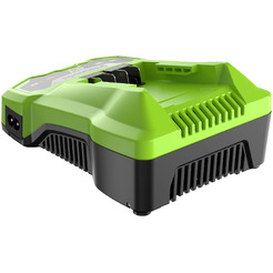 Зарядное устройство Greenworks G24C4 2946407 (24В)