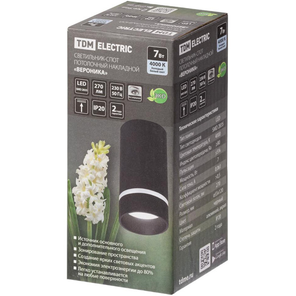 Спот TDM Electric Вероника SQ0356-0419