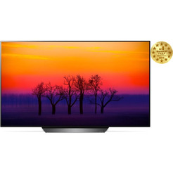 Телевизор LG OLED55B8PLA