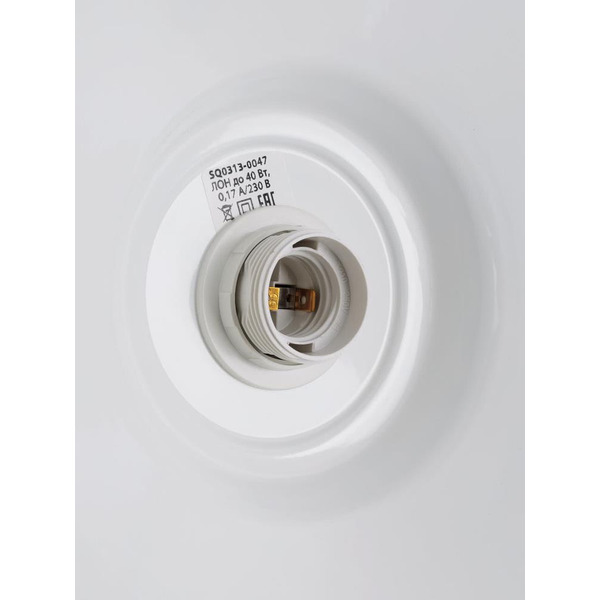 Светильник TDM Steel НСБ 2537/1 SQ0313-0047