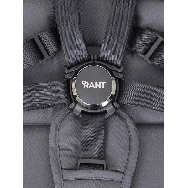 Детская универсальная коляска Rant Falcon 3 в 1 / RA098 (Graphite)