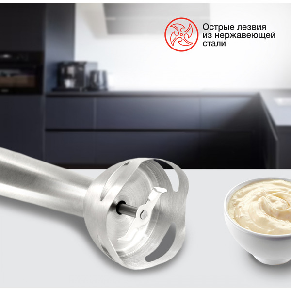 Блендер StarWind SBP1111