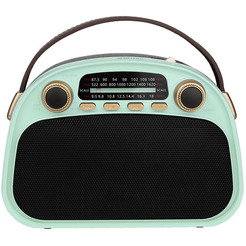 Радиоприемник Ritmix RPR-040 (мятный)