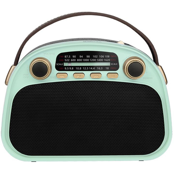 Радиоприемник Ritmix RPR-040 (мятный)