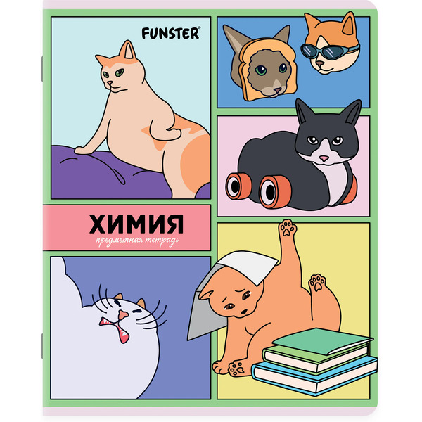 Тетради предметные Funster Мемные коты 405604 (12 шт)