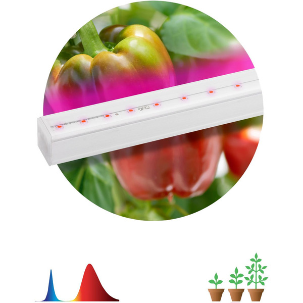 Фитосветильник ЭРА FITO-16W-Т5-N