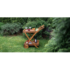 Сервировочная тележка Fieldman FDZN 4050-T