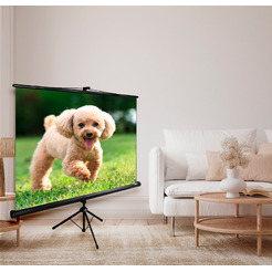 Экран CACTUS TriExpert CS-PSTE-180X135-BK