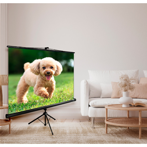 Экран CACTUS TriExpert CS-PSTE-180X135-BK