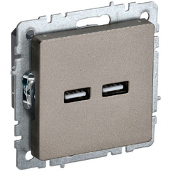 Розетка USB IEK Brite РЮ10-1-БрШ