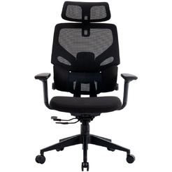 Кресло компьютерное EVOLUTION LumbarPro